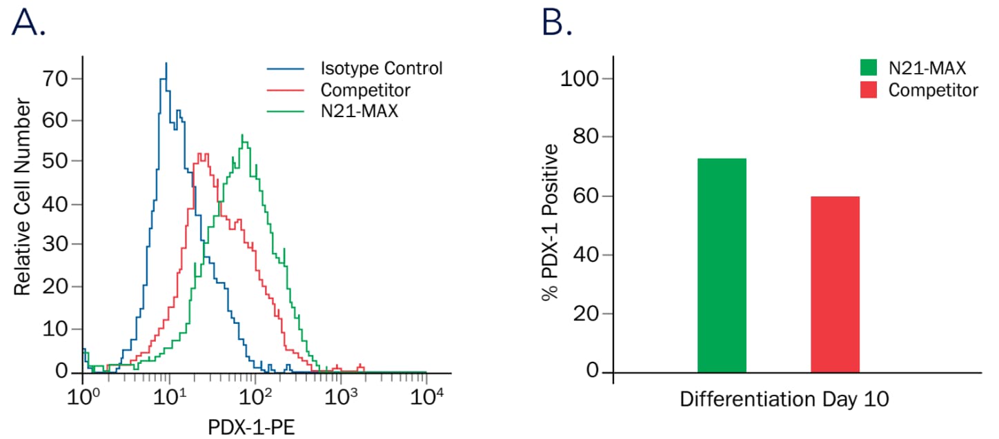 N21-MAX Media Supplement Increases Efficiency of Pancreatic Cell Differentiation. 